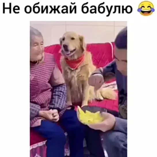 Хороший мальчик