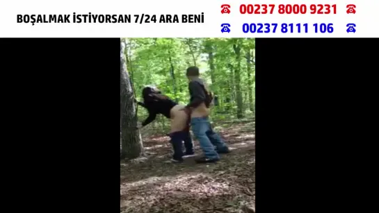 Ev bulamayınca Üniversiteli  kızı ormana götürmüş ormanda sikiyor (TÜRK PORNO) (TÜRK İFŞA)