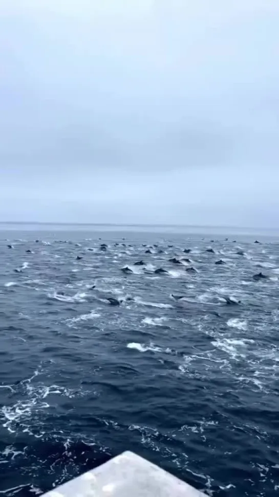 Видео от Юрия Киевского