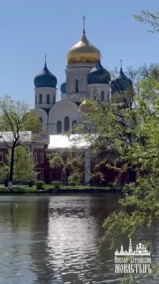 Видео от Юрия Киевского