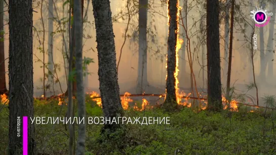 Мегаполис -Увеличили вознаграждение - Югра