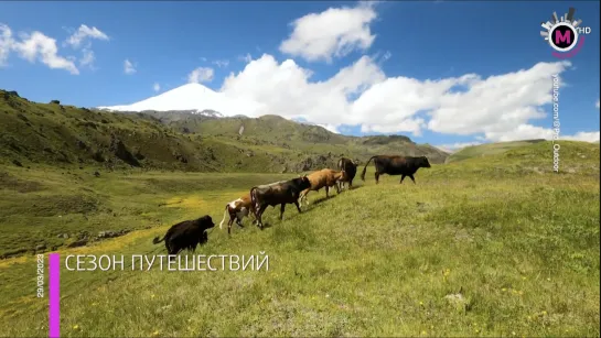 Мегаполис – Сезон путешествий – Югра