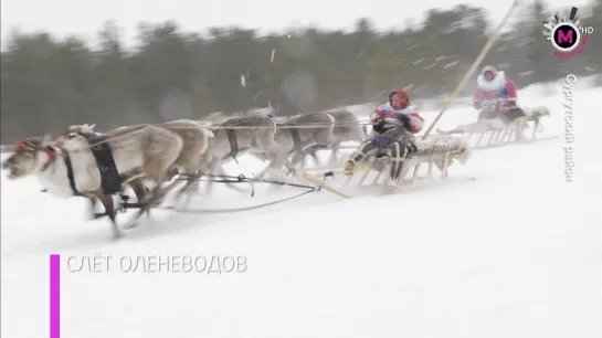 Мегаполис - Слёт оленеводов - Сургутский район