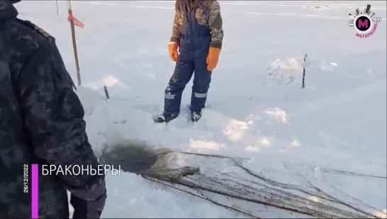 Мегаполис - Задержали браконьеров - Югра