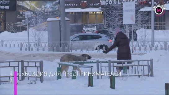 Мегаполис - Субсидия для предпринимателей - Югра