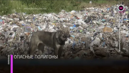 Мегаполис - Опасные полигоны - ХМАО-Югра