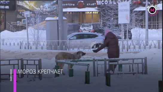 Мегаполис - Идут сильные холода - ХМАО-Югра