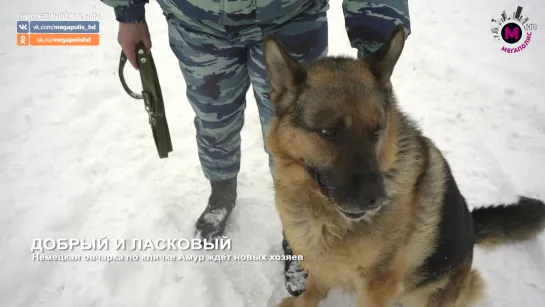 Мегаполис - Пора на пенсию - Нижневартовск+