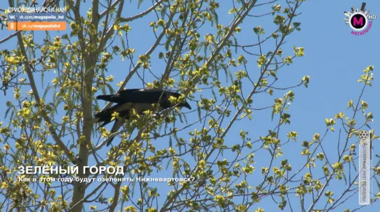 Мегаполис - Зелёный город - Нижневартовск