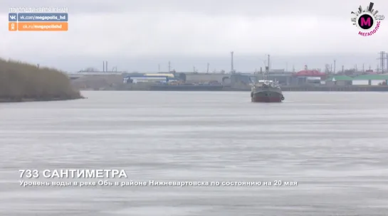 Мегаполис - Уровень воды - Нижневартовск