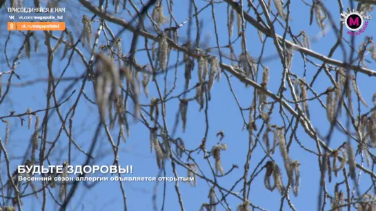 Мегаполис - Будьте здоровы - Нижневартовск