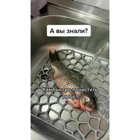 Видео от Мое здоровье