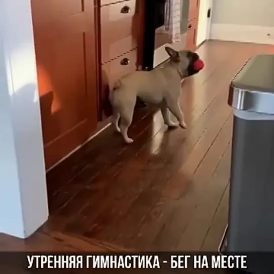 Видео от Мое здоровье