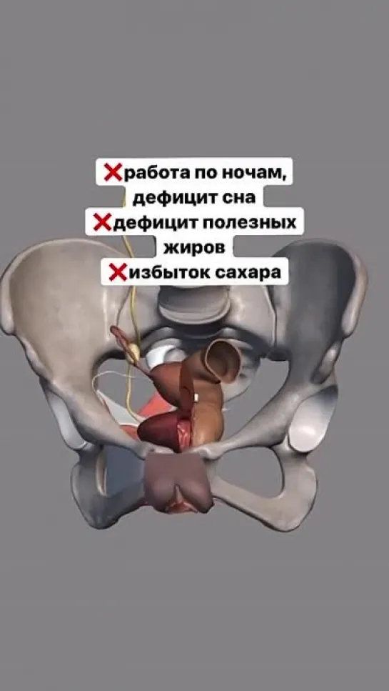 Видео от Мое здоровье