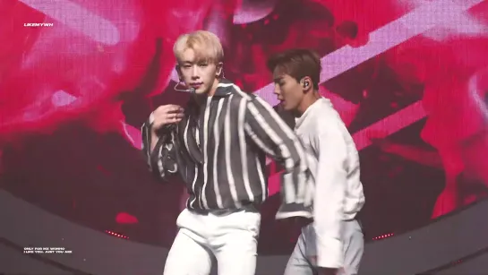 [VK][190908] MONSTA X fancam - SHOOT OUT (Wonho focus) @ Pepsi Showcase 'For The Love Of It'