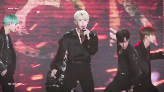 [VK][191011] MONSTA X fancam - Alligator (Wonho focus) @ Changwon K-Pop World Festival 2019