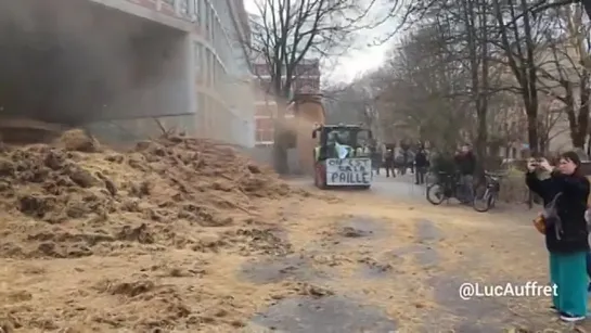 Протестующие французские фермеры сбросили десятки тонн навоза возле мэрии Тулузы.