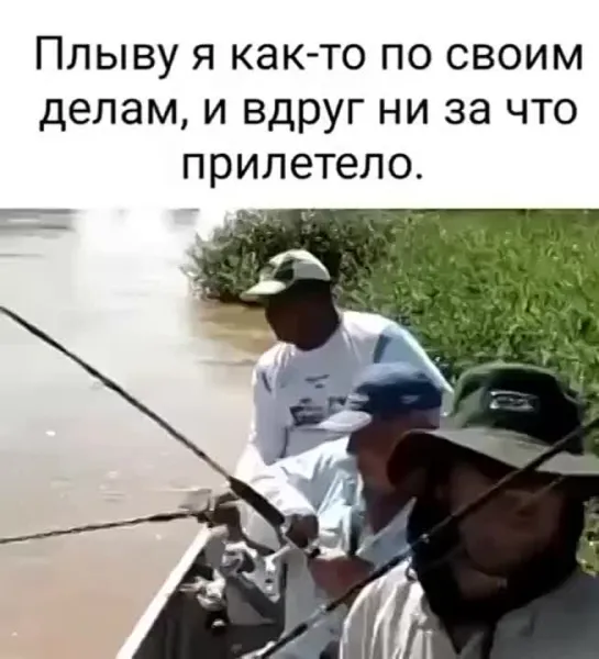 Видео от Интересное видео GIF