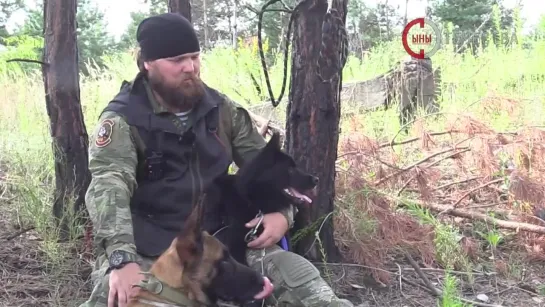 Кузьмич первая в мире собака детектор БПЛА на службе у военнослужащих