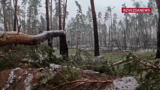 Бойцы 2-го армейского корпуса ЛНР рассказали, как выдавливают боевиков под Кременной