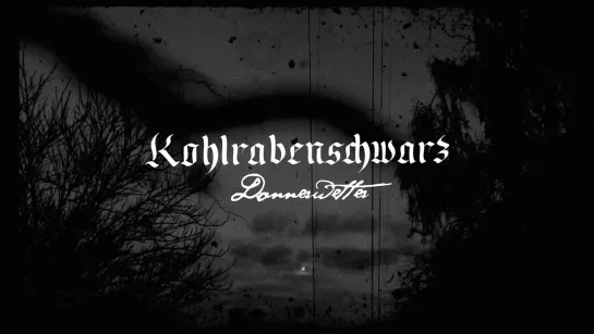 KOHLRABENSCHWARZ - Donnerwetter [Official Videoclip] 2023