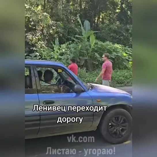 Ля какой шустрый дорогу переходит!