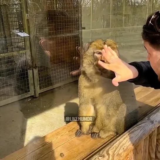 Просто в шоке с таких фокусов и все..