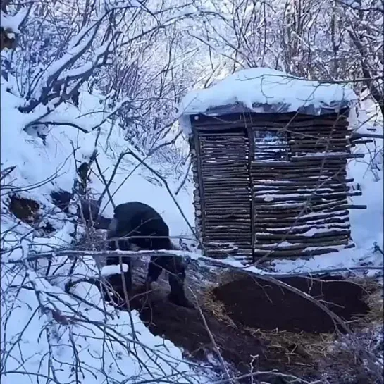 Зато своя хата, а не ипотека..