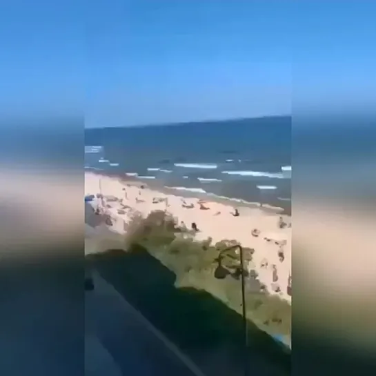 Видео РЖАЧ