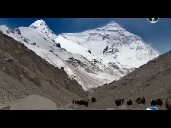 Самая дикая мечта: Покорение Эвереста / The Wildest Dream:Conquest of Everest (2010)