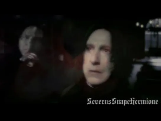 Alan Rickman / Severus Snape