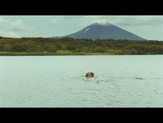 Цвета камчатки. Colors of Kamchatka. Камчатский край