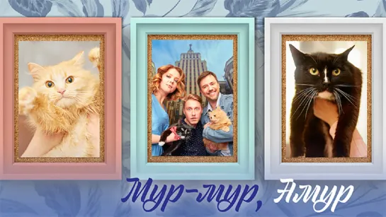 Myp мур. Aмyp 4 серия