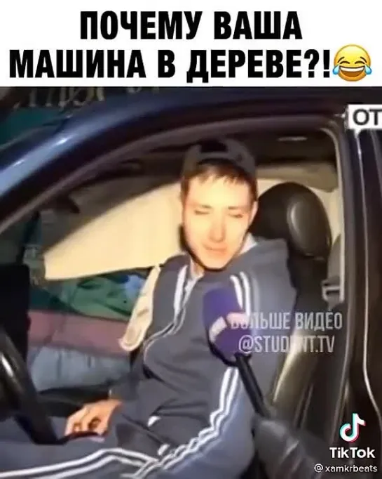 машина в дереве