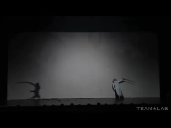 Sword Dance and Shadowgraph - Taichi Saotome X TEAMLAB