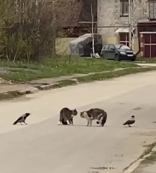 Видео от Павла Спирина