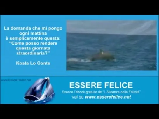 Essere Felice - trailer