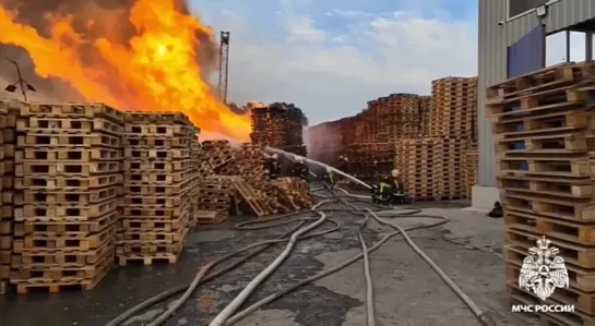 Видео от Настоящий Воронеж