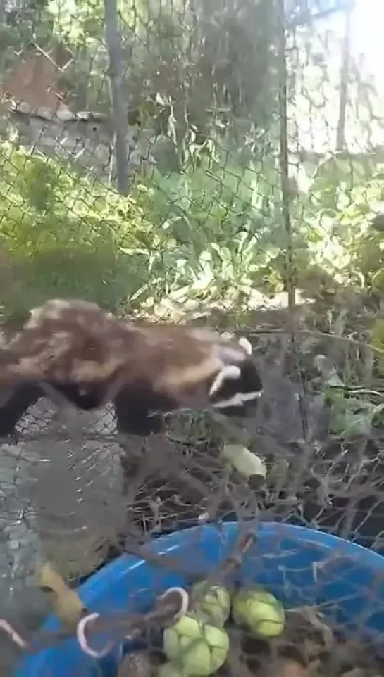 Видео от Настоящий Воронеж