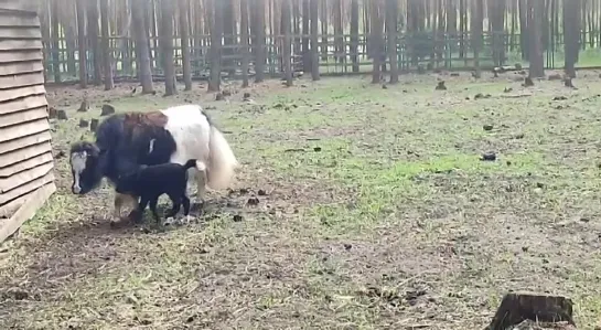 Видео от Настоящий Воронеж