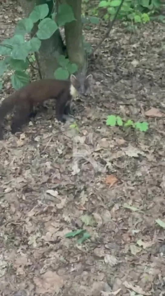 Видео от Настоящий Воронеж