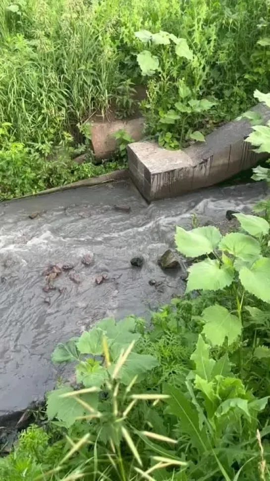 Видео от Настоящий Воронеж