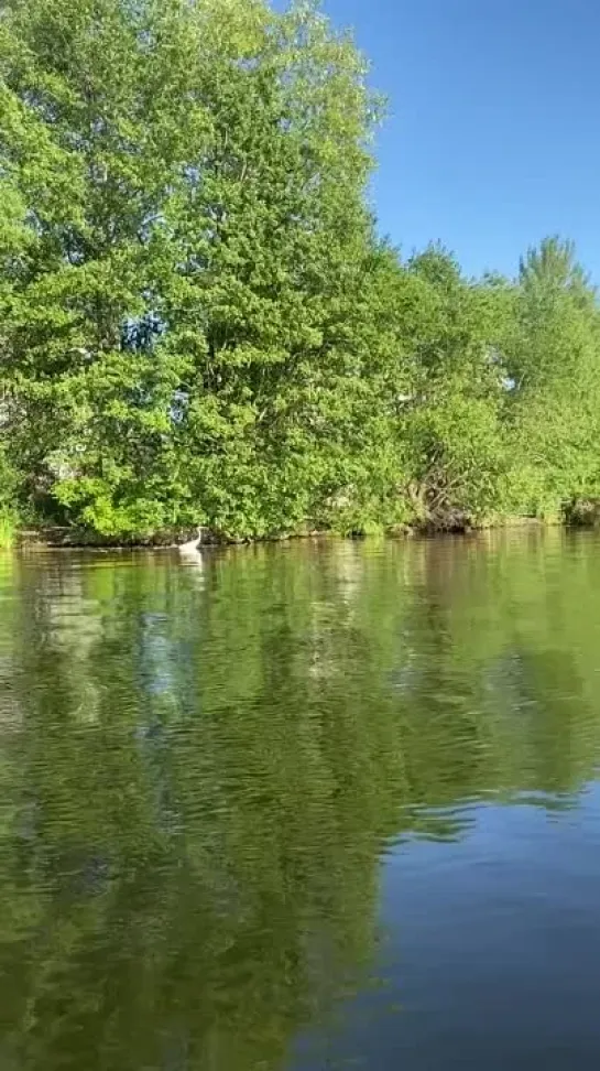 Видео от Настоящий Воронеж