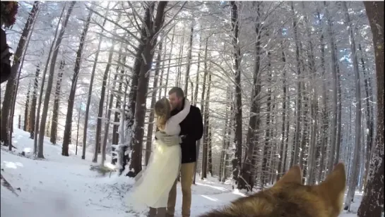 GoPro  Our Snowy Wedding (from our dog s perspective)