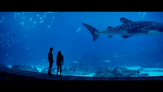 The entire aquarium scene. Definitely will be a tear jerker!