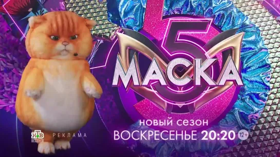 Заставка рекламы с анонсом шоу "Маска" (НТВ, 2024) Кот