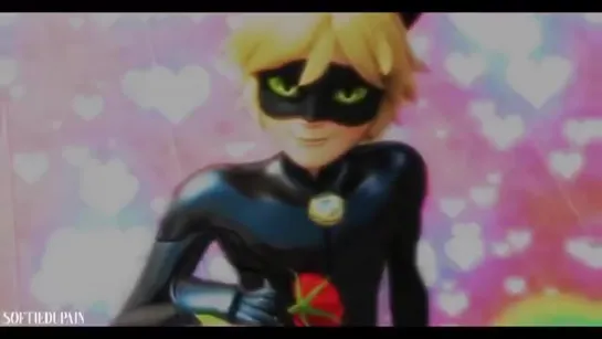 cat noir vine