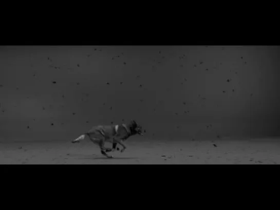 Woodkid - Iron