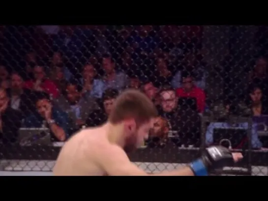 UFC highlights 2013 [HD]