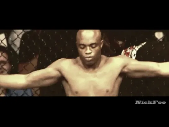 Anderson Silva 2013